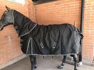 Regntäcke med 100g foder Med avtagbar hals