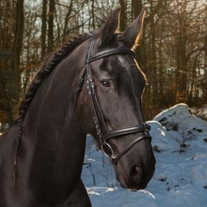 Träns Globus Super soft