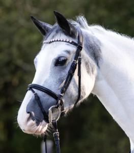 Träns Waldhausen Happy Hearts Ponny