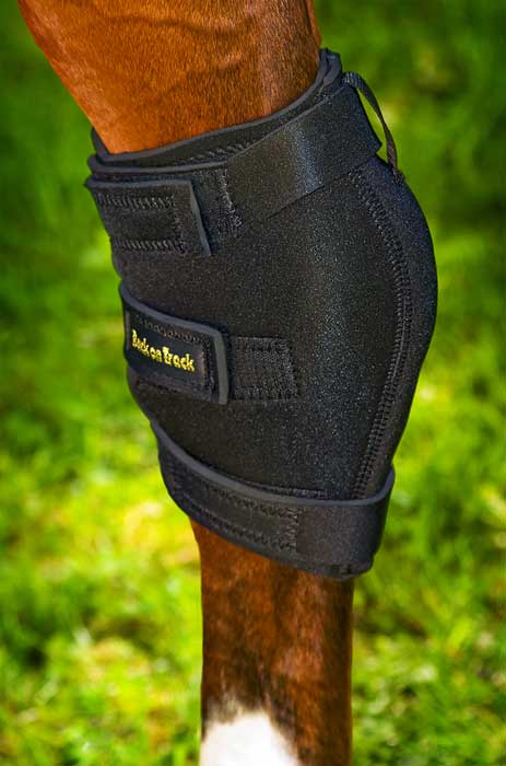 Back on Track Hasskydd