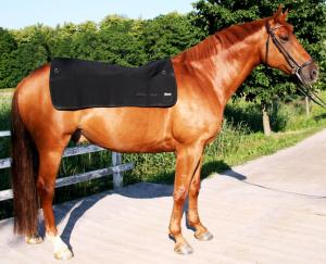 Back on Track ryggvärmare