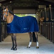 BUCAS POWER COOLER PONNY