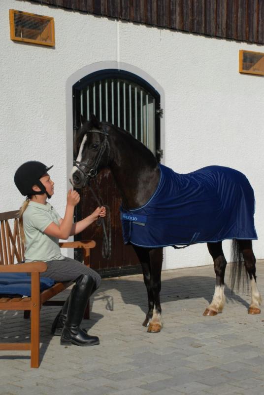 BUCAS PONNY SHAMROCK