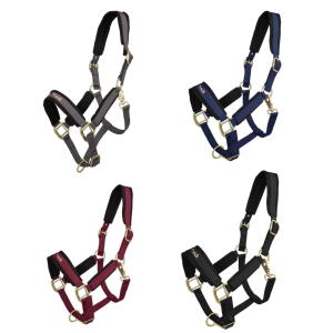 Back on Track Werano Grimma