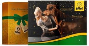 Adventkalender Effol/Effax