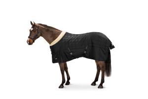 Eskadron Zeta Stalltäcke