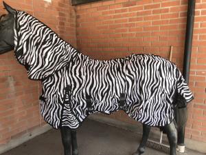 Zebra Flugtäcke