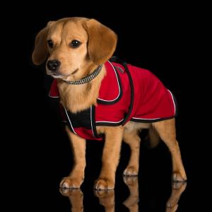 Hundtäcke i Softshell