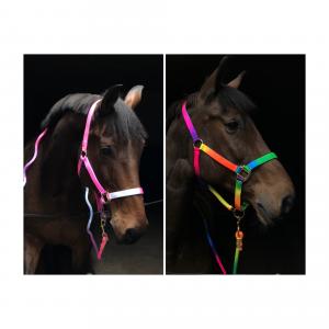 Kit med grimma och grimskaft