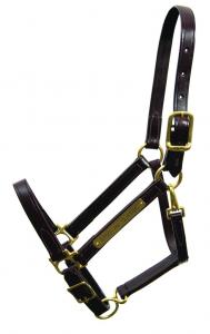 Walsh classic grimma