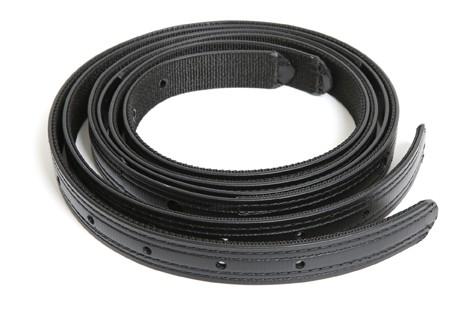 WALSH QH REMMAR BETA