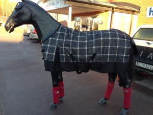 Regntäcke med fleecefoder