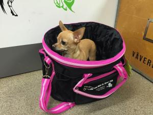 Grooming bag "Färjestads Rid & Trav AB"