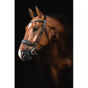 Träns Lippo Integro