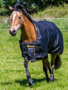 BUCAS PONNY 50G IRISH TURN OUT