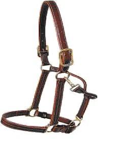 Walsh grimma Kentucky