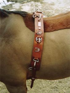 TÖMKÖRNINGSGJORD/LONGERGJORD GLOBUS