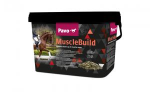 Pavo MuscleBuild