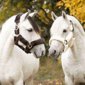 Källquist Cozy Grimma