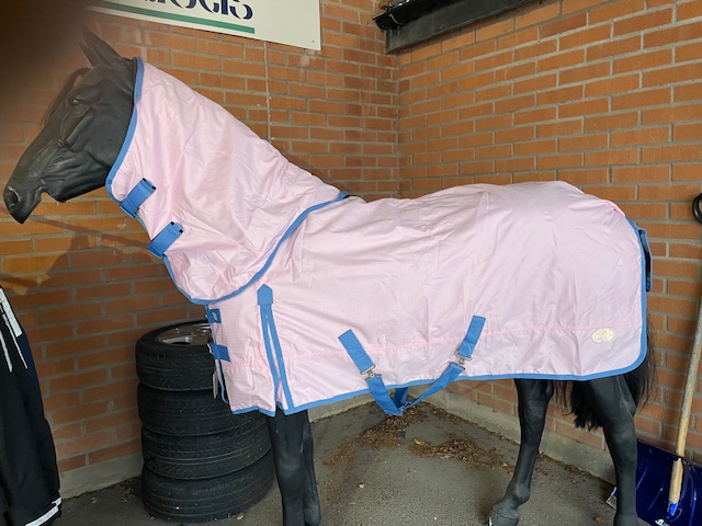 Horse Unique Regntäcke 100g+hals