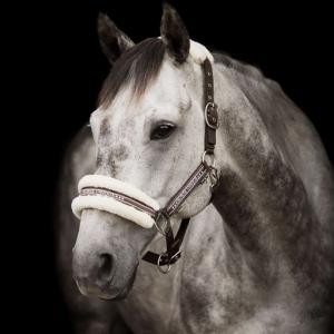 Källquist Unique Grimma