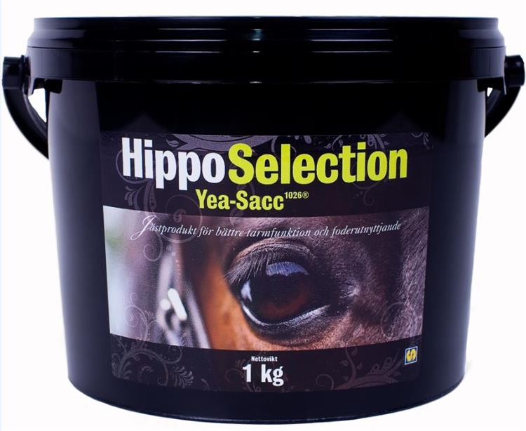 HIPPO YEASACC