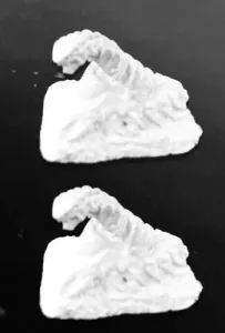 Giant Centipedes (2)