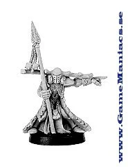 MORTRHON WIDOWSPEAR, FIR BOLG CHAMPION (1 figur per förpackning)