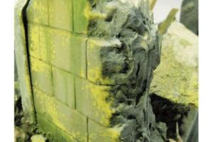 MOSS AND LICHEN (40 ml)