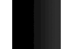 HOSPITALLIER BLACK (VALLEJO XPRESS COLOR INTENSE)