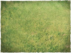 DeepCut Game mat - Fields (6x4 foot)