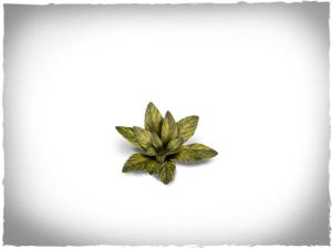 GamersGrass laser plants - Dumb Cane