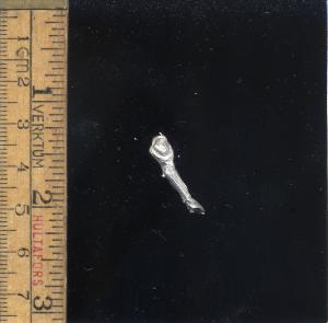 Warp Beast Front Leg 3 (1)