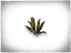 GamersGrass laser plants - Agave