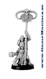 FIR BOLG STANDARD BEARER (1 figur per förpackning)