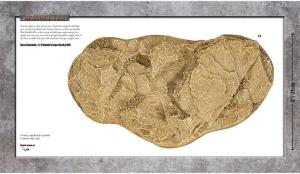 BIAB: Large Rocky Hill - Sandstone (x1)