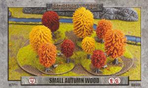 Small Autumn Wood (15-25 mm skala)