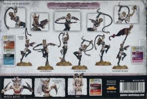 DAUGHTERS OF KHAINE: WITCH AELVES