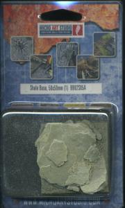 Shale Bases, 50x50mm (1)
