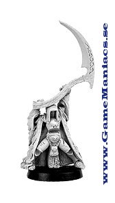 SHADOW LORD, FIR BOLG CHAMPION (1 figur per förpackning)