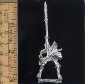 Dark Elf Dark Rider Body 3 (1)