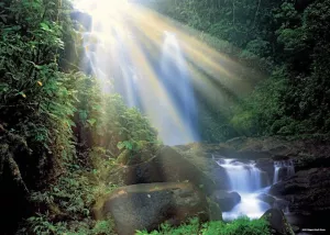 Magic Forests, Waterfall 1000 pieces