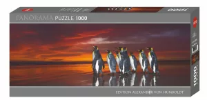 King Penguins (Panorama 1000 pieces)