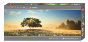 Play of Light, Edition Humboldt Panorama 1000 pieces