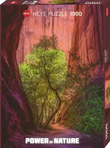 Power of Nature: Singing Canyon (1000 pieces)