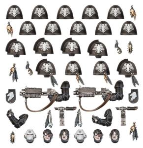 RAVEN GUARD PRIMARIS UPGRADES & TRANSFERS