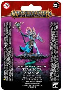 DISCIPLES OF TZEENTCH: TZAANGOR SHAMAN