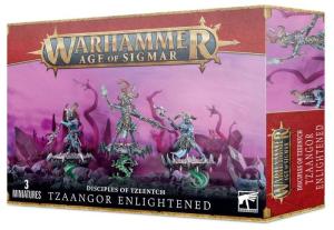 DISCIPLES OF TZEENTCH: TZAANGOR ENLIGHTENED