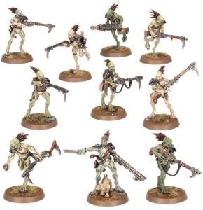 KROOT CARNIVORE SQUAD