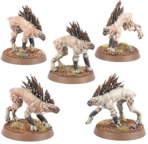 KROOT HOUNDS